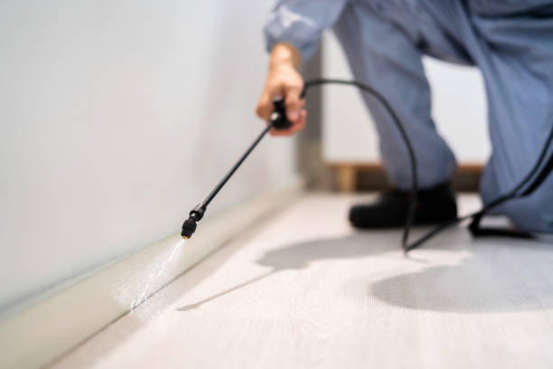 Bed Bug Pre-Treatment Preparation Assessment in Gholson