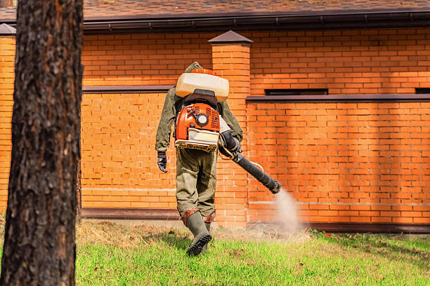 Bed Bug Clearance Verification and Documentation in Gholson